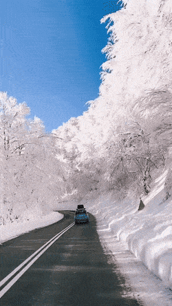 https://img.izismile.com/img/img15/20250613/gifs/daily_gifdump_5024_01.gif