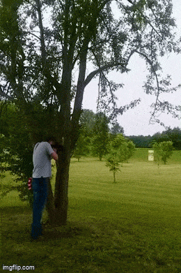 https://img.izismile.com/img/img15/20250613/gifs/daily_gifdump_5024_21.gif