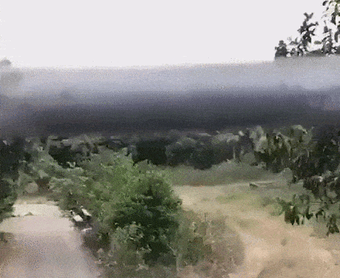 https://img.izismile.com/img/img15/20250613/gifs/daily_gifdump_5024_48.gif