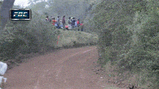 https://img.izismile.com/img/img15/20250613/gifs/daily_gifdump_5024_49.gif