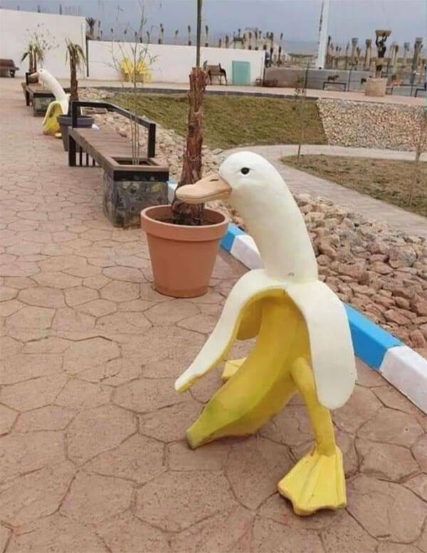 Absolutely No Context, Just Pure Confusion