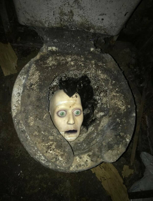 Absolutely No Context, Just Pure Confusion