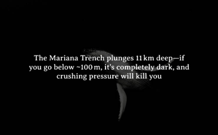 Creepy Facts That Will Keep You Up at Night