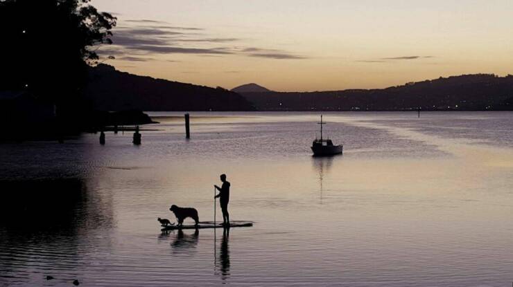 Daily Picdump Daily Picdump