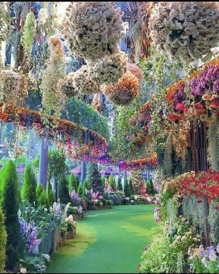 Daily Picdump Daily Picdump