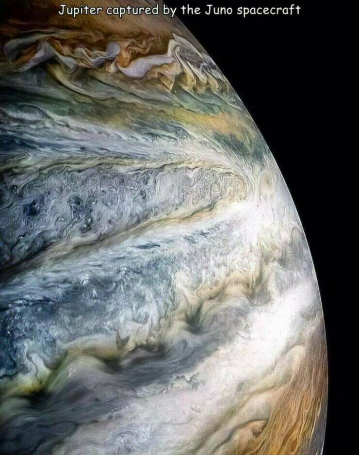 Daily Picdump Daily Picdump