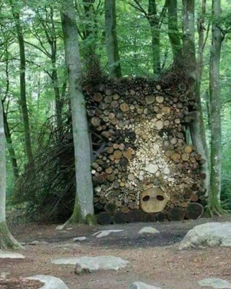 Daily Picdump Daily Picdump