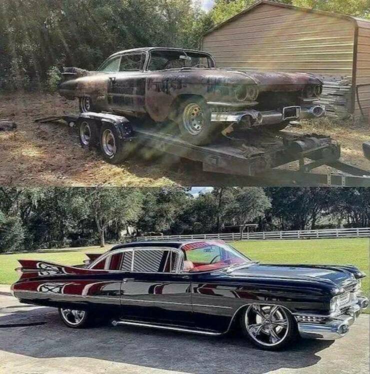 Daily Picdump Daily Picdump