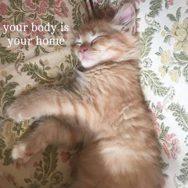 Feel-Good Photos Packed With Pure Joy
