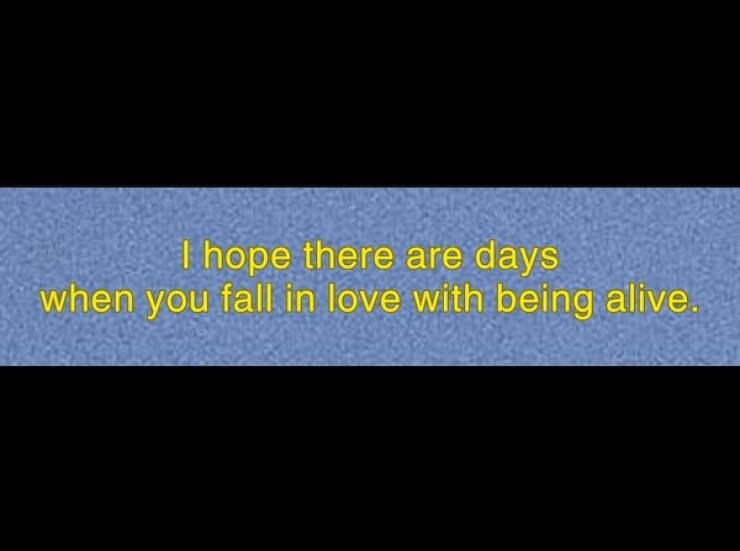 Feel-Good Photos Packed With Pure Joy