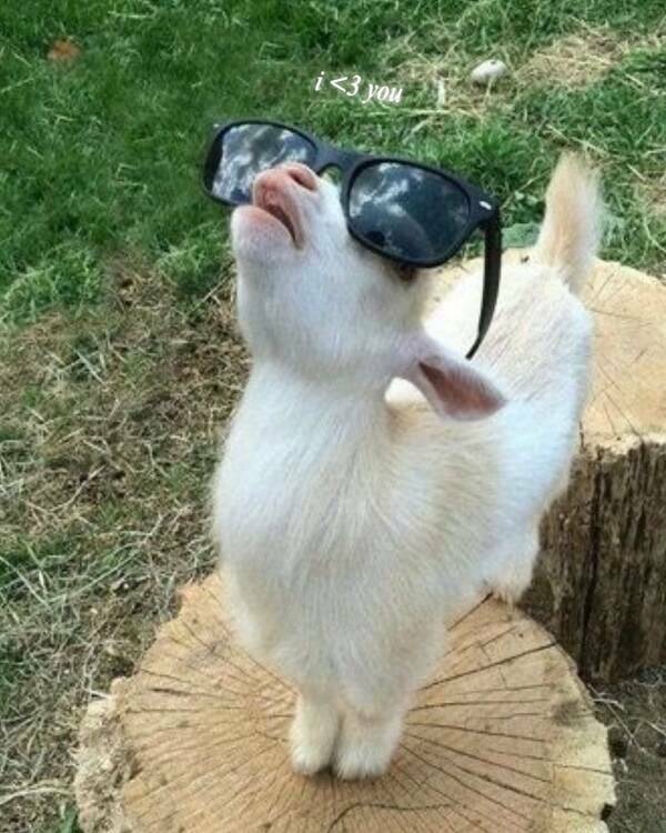 Feel-Good Photos Packed With Pure Joy