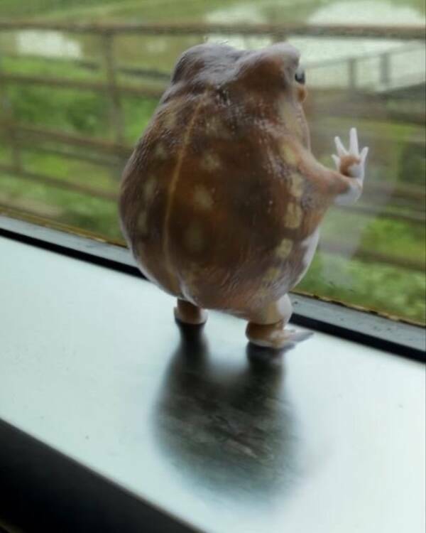 Feel-Good Photos Packed With Pure Joy