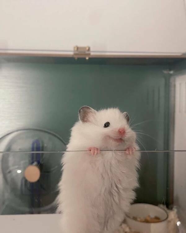 Feel-Good Photos Packed With Pure Joy