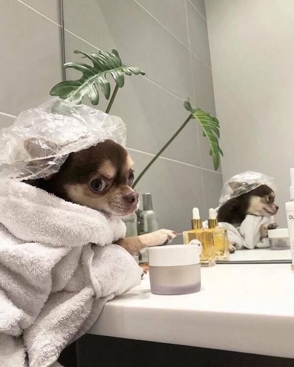 Feel-Good Photos Packed With Pure Joy