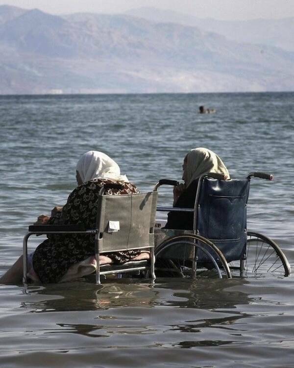 Feel-Good Photos Packed With Pure Joy