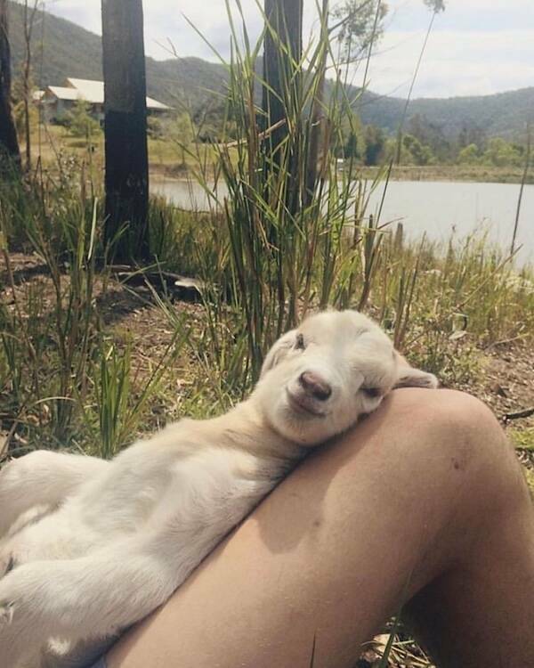 Feel-Good Photos Packed With Pure Joy