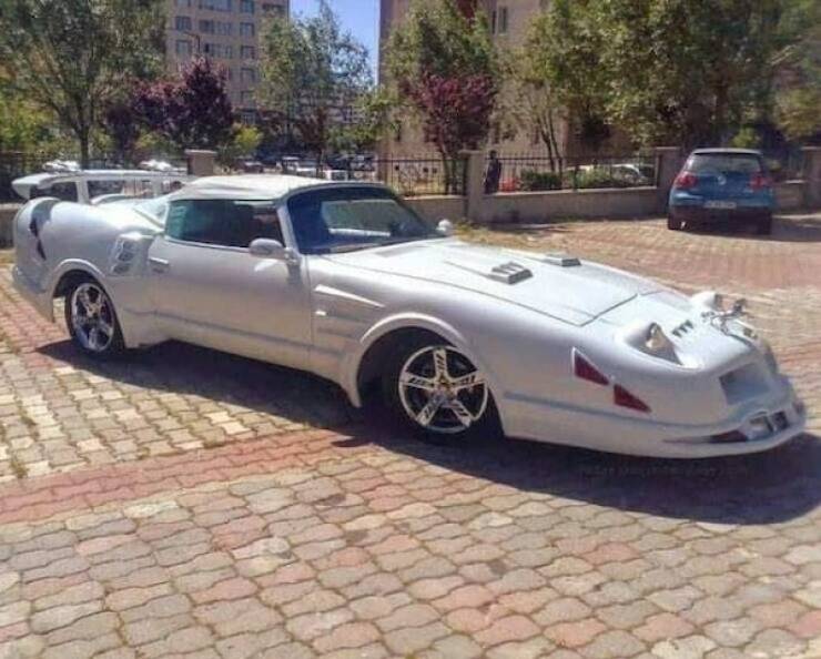 Wild Rides You Have To See To Believe