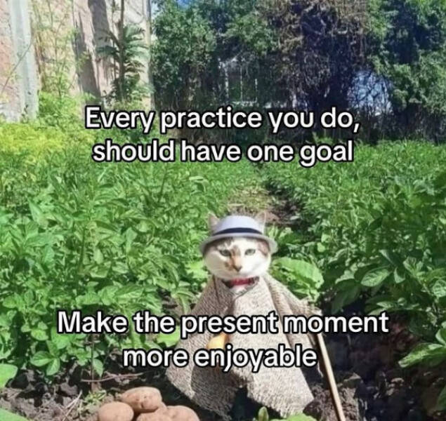 Wisdom For Everyone