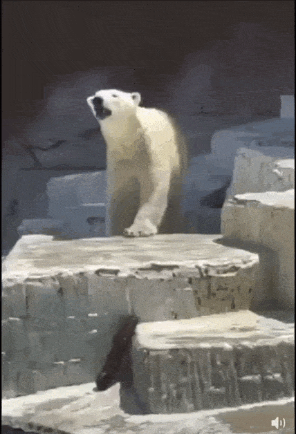 Daily Gifdump Daily Gifdump