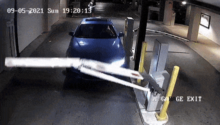 Daily Gifdump Daily Gifdump