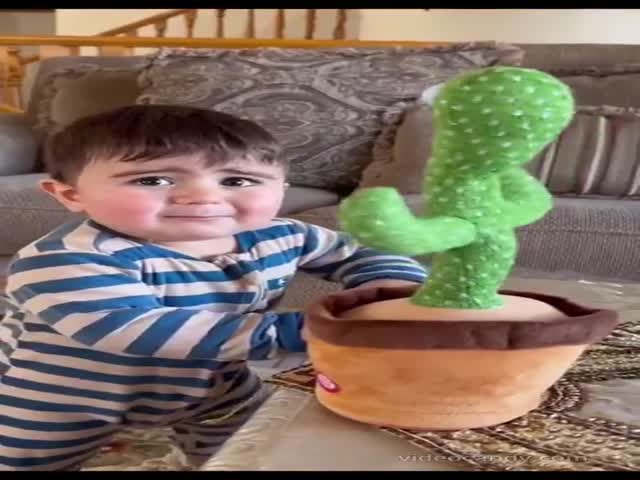 Kids And Cactus