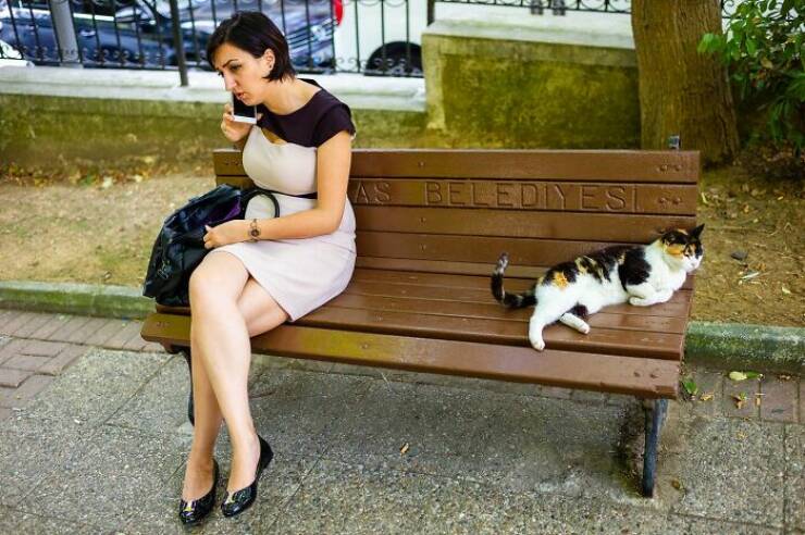 Moments This Street Photographer Froze Time In The Best Way Moments This Street Photographer Froze Time In The Best Way