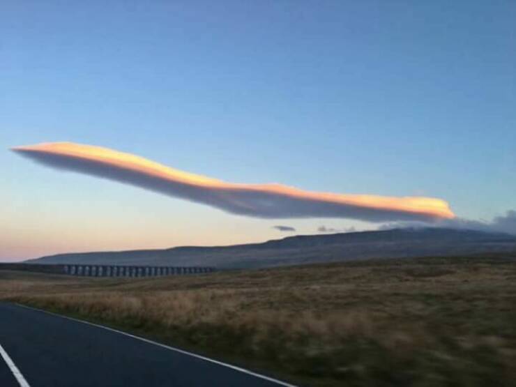 Stuff That Accidentally Cosplayed As Other Stuff