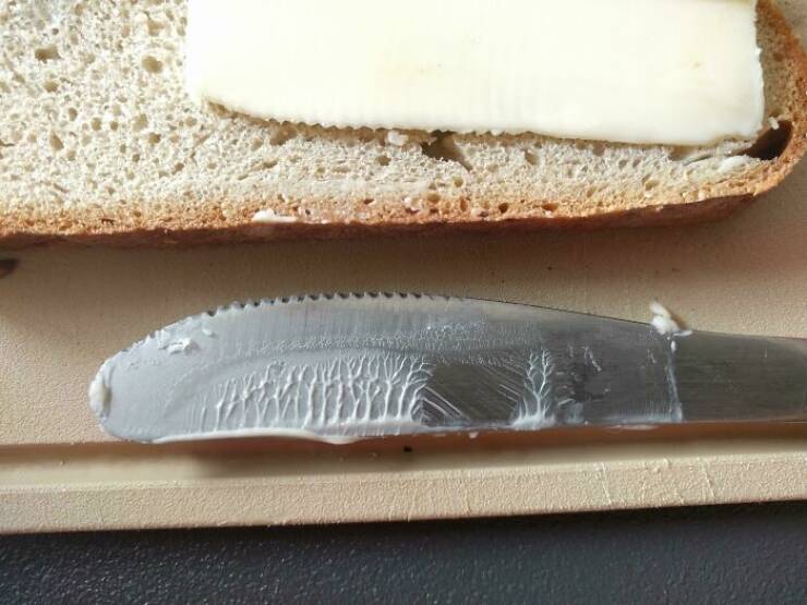 Stuff That Accidentally Cosplayed As Other Stuff