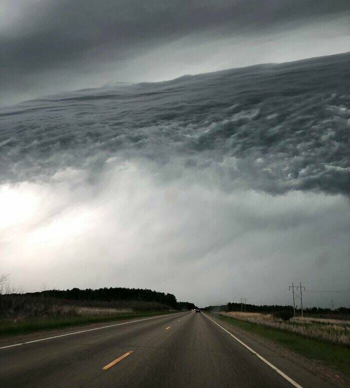 Stuff That Accidentally Cosplayed As Other Stuff