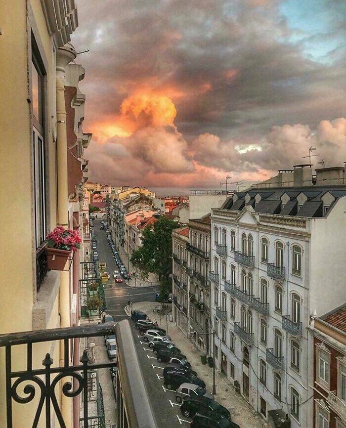 Stuff That Accidentally Cosplayed As Other Stuff