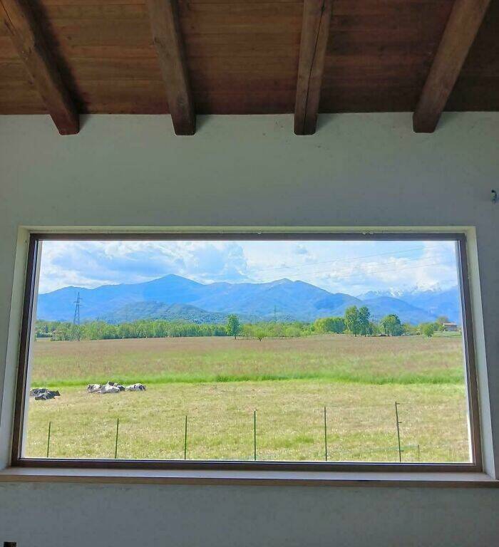 Stuff That Accidentally Cosplayed As Other Stuff