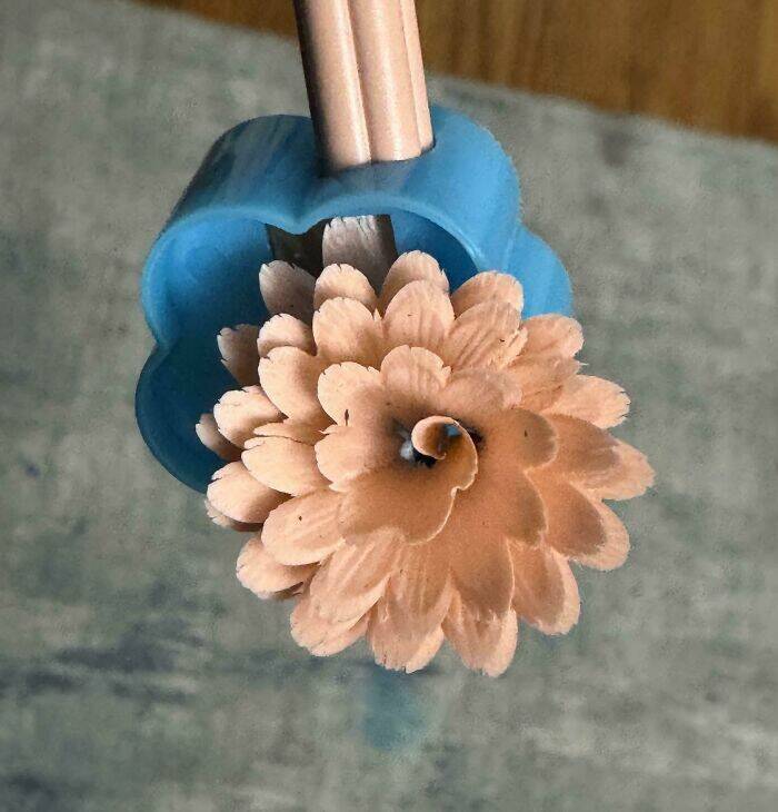 Stuff That Accidentally Cosplayed As Other Stuff