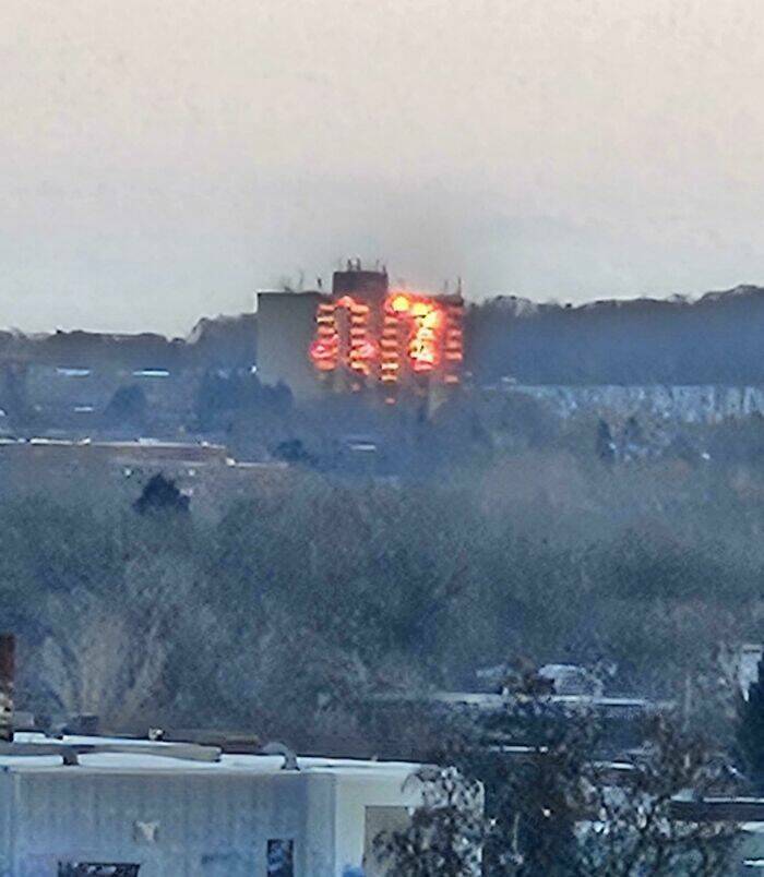 Stuff That Accidentally Cosplayed As Other Stuff