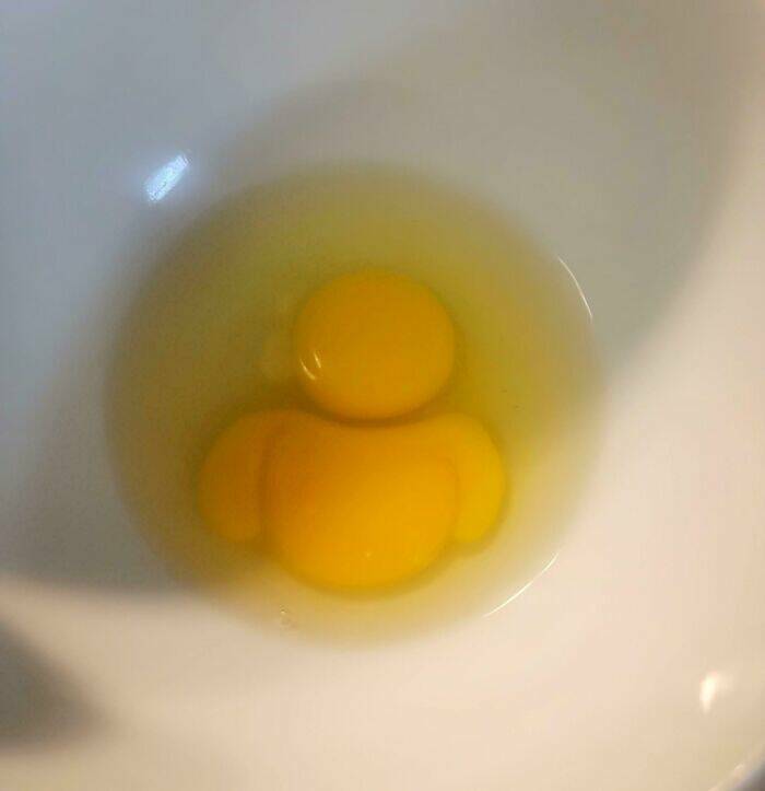 Stuff That Accidentally Cosplayed As Other Stuff