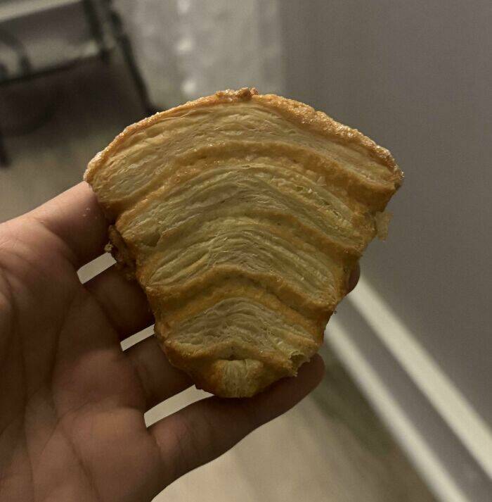 Stuff That Accidentally Cosplayed As Other Stuff