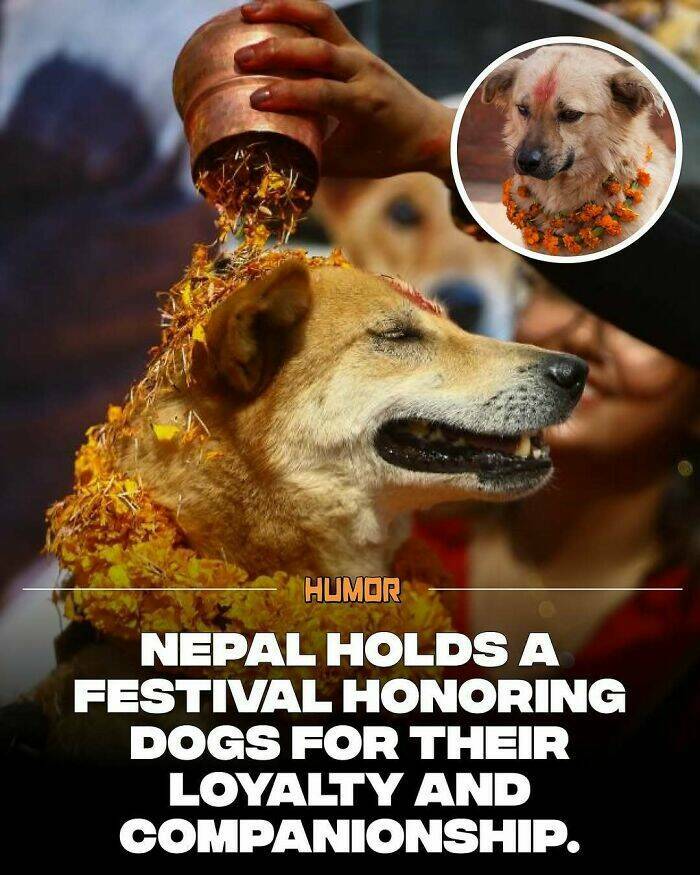 Take a Break, Feed Your Brain: Facts You’ll Definitely Tell Someone