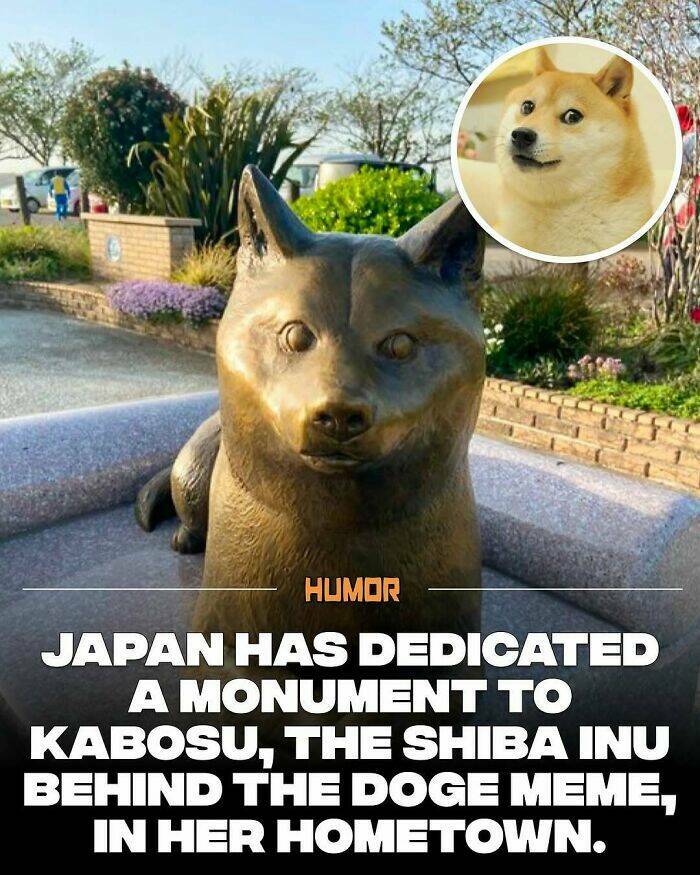 Take a Break, Feed Your Brain: Facts You’ll Definitely Tell Someone