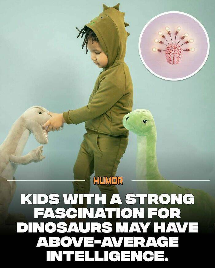 Take a Break, Feed Your Brain: Facts You’ll Definitely Tell Someone