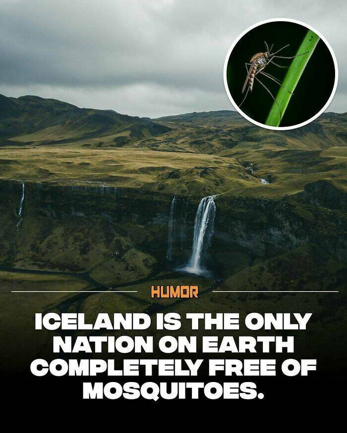 Take a Break, Feed Your Brain: Facts You’ll Definitely Tell Someone