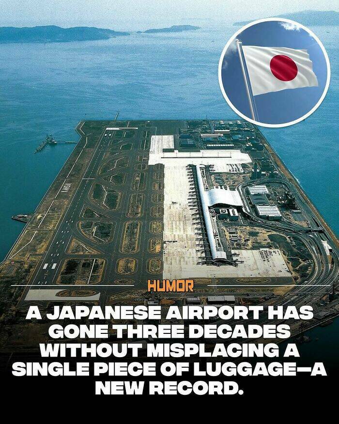 Take a Break, Feed Your Brain: Facts You’ll Definitely Tell Someone