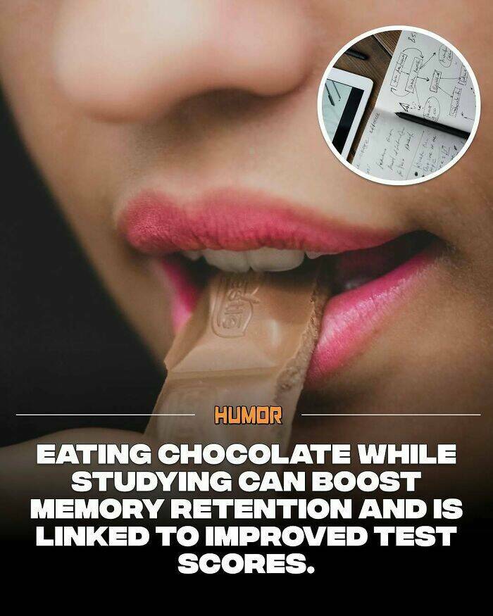 Take a Break, Feed Your Brain: Facts You’ll Definitely Tell Someone