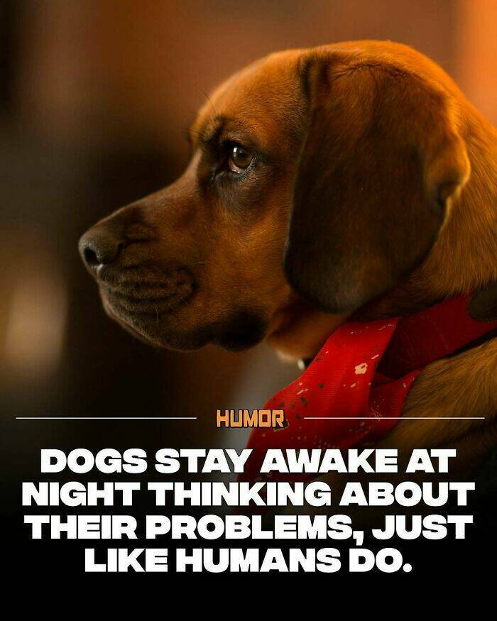 Take a Break, Feed Your Brain: Facts You’ll Definitely Tell Someone