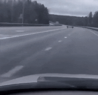 Daily Gifdump Daily Gifdump