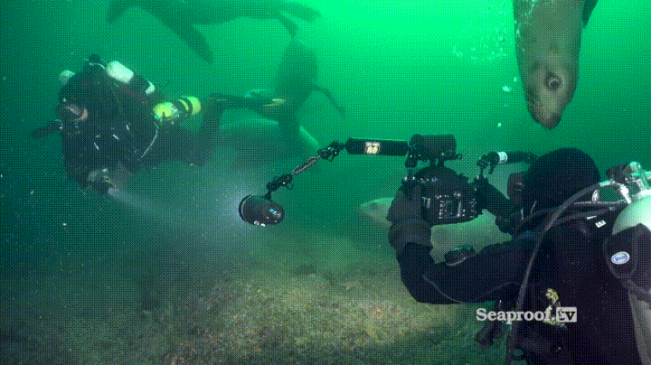 Daily Gifdump Daily Gifdump