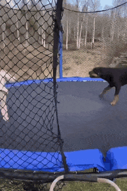 Daily Gifdump Daily Gifdump