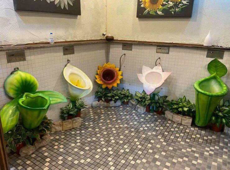 Daily Picdump Daily Picdump