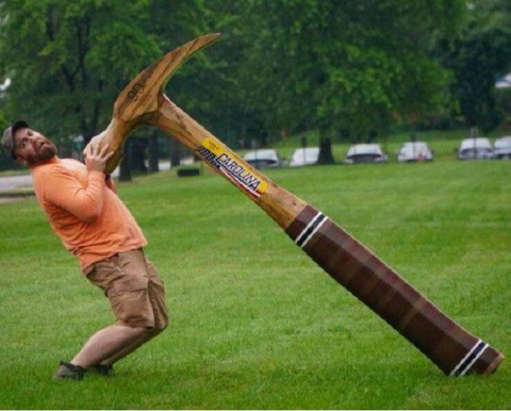 Daily Picdump Daily Picdump