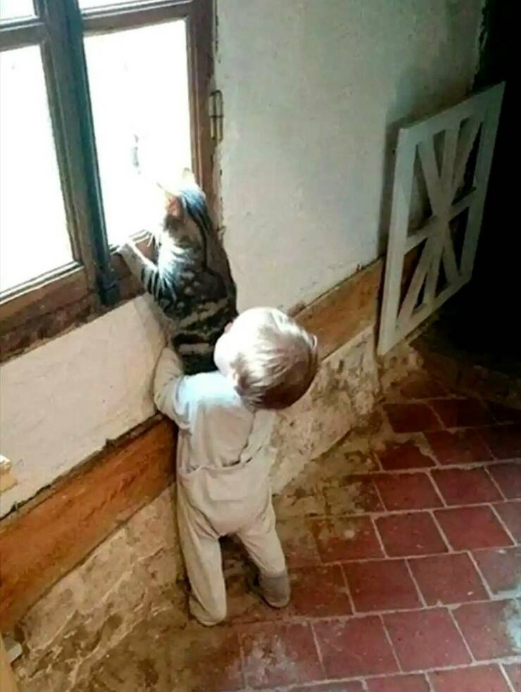 Daily Picdump Daily Picdump