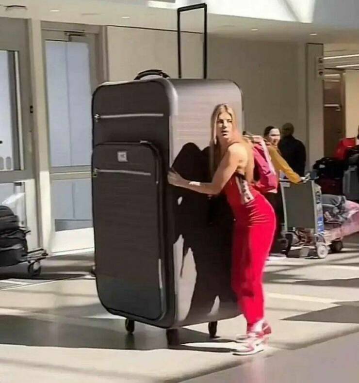 Daily Picdump Daily Picdump