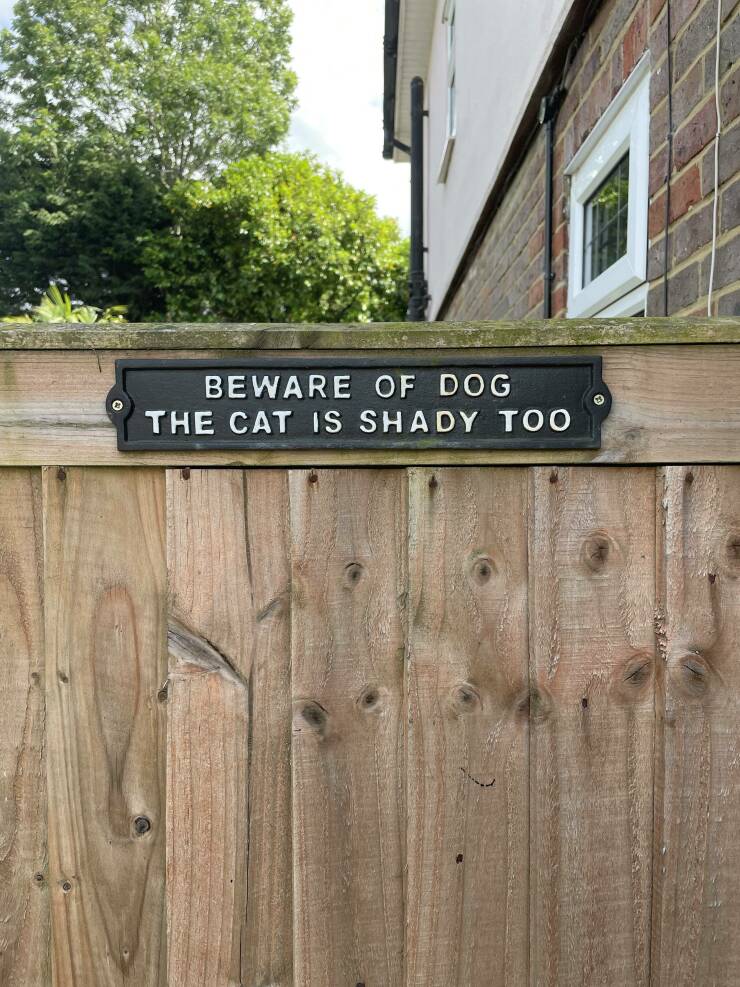 Daily Picdump Daily Picdump